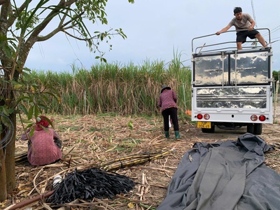 Cơ hội sở hữu đất trồng cây lâu năm 11.315m2 - tại bà rịa vũng tàu  giá bán : 13 tỷ còn thương 1