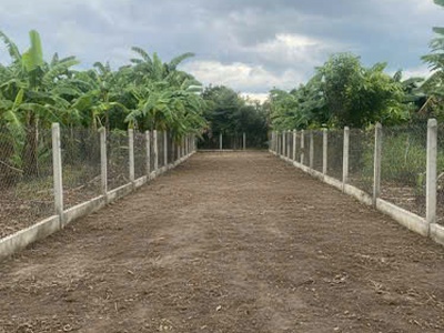 Cần bán lô đất diên an-diên khánh- nha trang dt:254m có thổ ngang 5m nở hậu 7,6m đường bê tông 6m 4