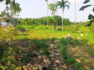 Chủ kẹt tiền cần bán lô đất tại mt đường dx 017 có 1000 m  đất ở., cẩm thanh giá 20 tỷ 0