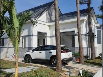 Chủ cần tiền bán lô đất mặt tiền đường nhựa mới mở khu dân cư cực kỳ đẹp 2