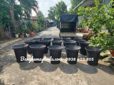 Bộ khay trưng trái cây siêu thị nhựa giả mây 0