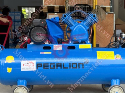 Máy nén khí có dầu Pegalion 120L TM-W-0.36/8 giá rẻ 0