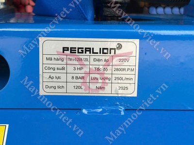 Máy nén khí có dầu Pegalion 120L TM-W-0.36/8 giá rẻ 2