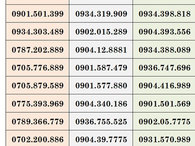 Cơ hội có 1102 - xả lô sim trả trước mobifone   gói cước siêu C90Plus   cho anh em hải phòng 6