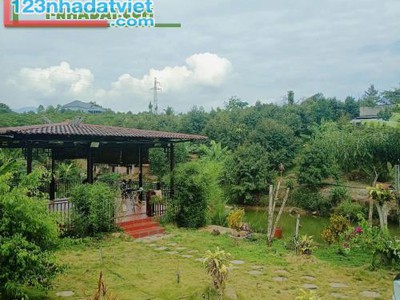 Cần Tiền Trả Nợ Ngân Hàng Bán Gấp Đất Bảo Lộc Giá 3 Triệu/M 1