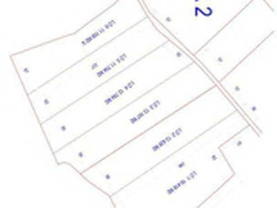 Bán 2 lô đất quy hoạch SKC   LONG TÂN, DẦU TIẾNG, BD   12,9247ha 0