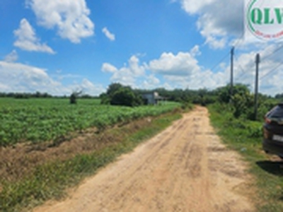 Bán 2 lô đất quy hoạch SKC   LONG TÂN, DẦU TIẾNG, BD   12,9247ha 2