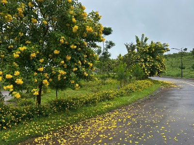 Đón đầu đặc quyền đầu tư siêu phẩm sinh lời vượt trội La Beaute 1 4