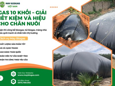 Túi Biogas 10 Khối Xử Lý Chất Thải 0