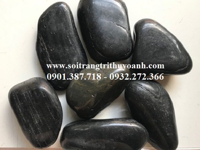 Sỏi đen bóng nhập khẩu cấp tại thị trường Việt Nam 7