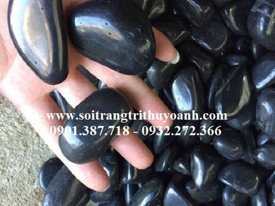 Sỏi đen bóng nhập khẩu cấp tại thị trường Việt Nam 8