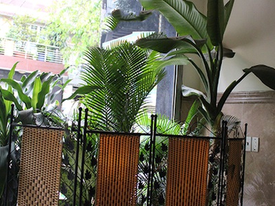 Giảm 1.5 tỷ khách sạn 5 tầng 27 phòng 185m2 hà huy giáp quận 12 4