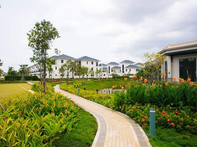 Hàng hiếm có 1 không 2 tại swanbay, chốt là lời ngay 4