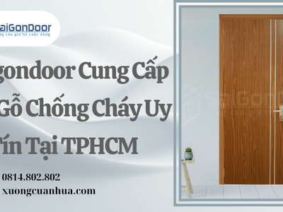 Saigondoor Cung Cấp Cửa Gỗ Chống Cháy Uy Tín Tại TPHCM 0