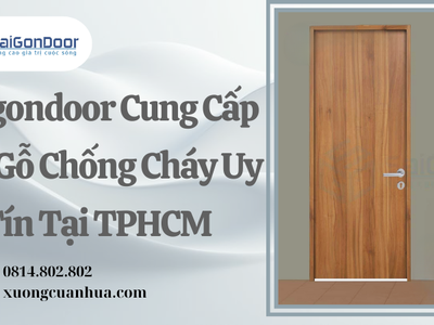 Saigondoor Cung Cấp Cửa Gỗ Chống Cháy Uy Tín Tại TPHCM 1