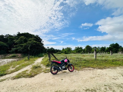 Bán 1.3 sào đất gần biển tân tiến - lagi giá rẻ nhất 500 triệu sổ riêng 4