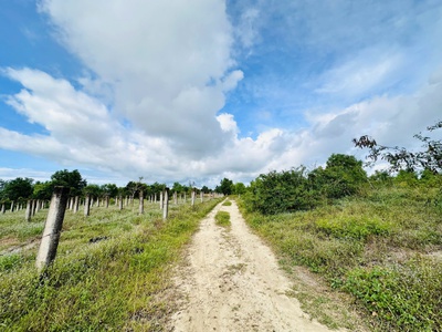 Bán 1.3 sào đất gần biển tân tiến - lagi giá rẻ nhất 500 triệu sổ riêng 2