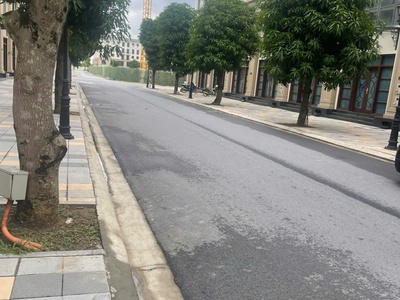 Cho thuê nhà tại phân khu vịnh tây vinhomes ocean park 3 1