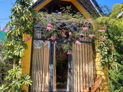 Cho thuê homestay 5 căn bungalow full nội thất đường ô tô trạng trình 0