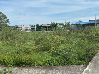 Bán 813m2 đất odt phước hội - lagi kế 577 gần biển giá ngộp 180tr/m ngang 0