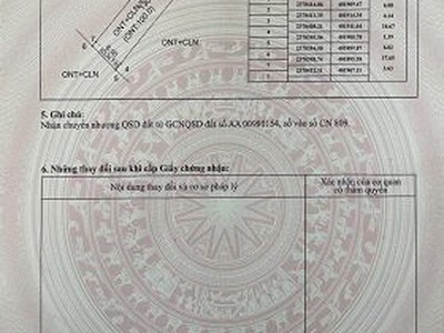 Bán đất đẹp 130m2 thôn chúc, xã quang trung  đại hoá cũ , tân yên, bắc giang 2