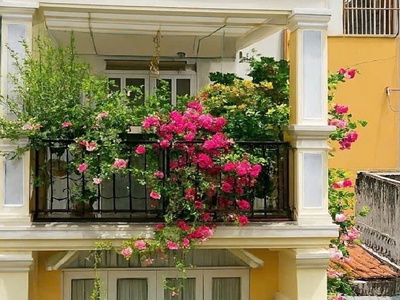 Bán nhà đẹp trần quang diệu - quận 3 - 4.3 x 14 m - 5 tầng - 9 tỷ 0