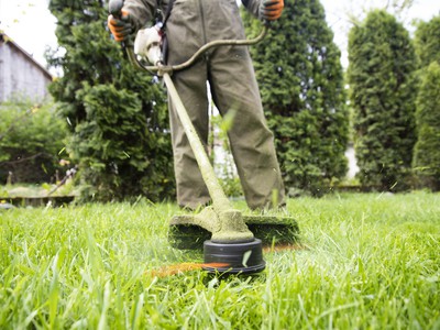 Cắt cỏ và chăm sóc thảm cỏ KCN Amata Đồng Nai 0