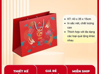 In túi giấy giá rẻ nhất Đặt in nhanh tại In Hoa Long 4