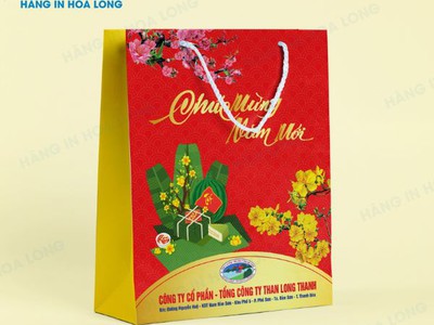 In túi giấy giá rẻ nhất Đặt in nhanh tại In Hoa Long 0