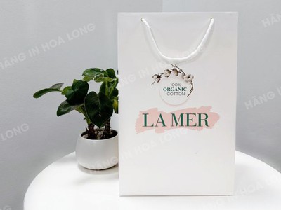 In túi giấy giá rẻ nhất Đặt in nhanh tại In Hoa Long 1