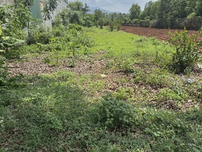 Bán 2716m đất mặt tiền quốc lộ 56 xã hòa long brvt giá 28 tỷ. 1