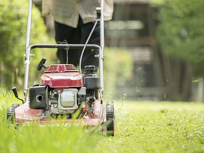 Dịch Vụ Chăm Sóc Cây Xanh Mảng Xanh Cắt Tỉa Cây Xanh Vệ Sinh Cảnh Quan Tại Bình Dương Cảnh Q 0