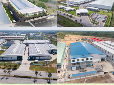 Dịch Vụ Chăm Sóc Cây Xanh Mảng Xanh Cắt Tỉa Cây Xanh Vệ Sinh Cảnh Quan Tại Bình Dương Cảnh Q 1