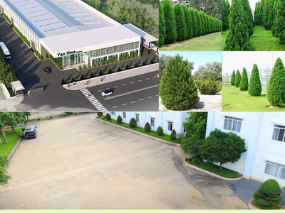 Dịch Vụ Chăm Sóc Cây Xanh Mảng Xanh Cắt Tỉa Cây Xanh Vệ Sinh Cảnh Quan Tại Bình Dương Cảnh Q 2