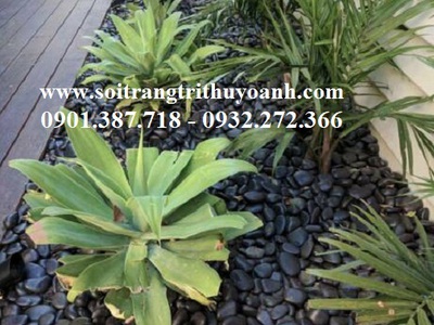 Sỏi đen bóng cấp cho công trình Thảo Điền - Quận 2 6