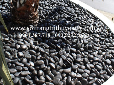 Sỏi đen bóng cấp cho công trình Thảo Điền - Quận 2 18