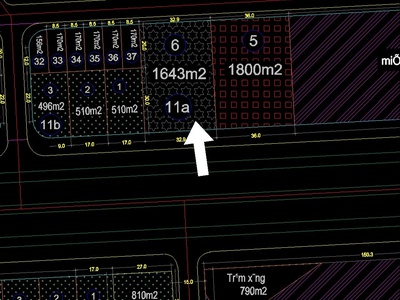 Cho thuê đất mặt đường Lê Hồng Phong - 1.643m2 - ngang 32,9m - 2 mặt tiền - giá cực tốt 105 tr/m2 1