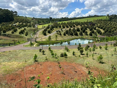 View đồi siêu đẹp 341.4 m đất biệt thự trung tâm Bảo Lộc, giá đầu tư chỉ 15 triệu/m 5