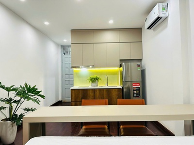 Siêu hiếm - bán nhà phân lô liễu giai, ba đình - 56m x 5t - ô tô - kinh doanh - dòng tiền 60tr/th - 1