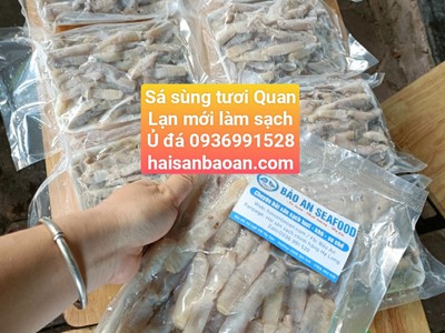 Nơi bán sá sùng tươi quảng ninh giá tốt 0