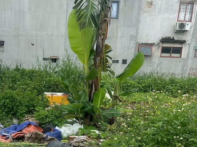 ❤bán đất thổ cư gần 140 m2 ngay chợ cầu đồng ngã 4 ga q.12 sát gò vấp - hẻm xe hơi 6m- chỉ 6.x tỷ 1