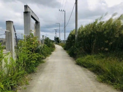 Chính chủ cần bán 1000m đất đẹp cách đường rừng sác chỉ 400m bình khánh, cần giờ 4