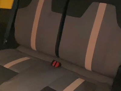 Nhận tách chia đôi ghế xe điện vinfast VF3, LIMO theo yêu cầu, vừa có thể chở người và chở hàng 1