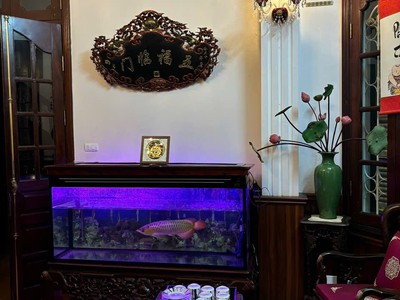 Cực Hiếm Lô Góc Mặt Hồ Trúc Bạch 5 Tầng Mặt Tiền 6M 45 Tỷ - 2 Mặt phố 2