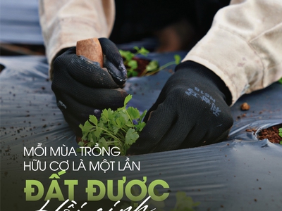 Sản phẩm tự nhiên, cho cuộc sống an yên - G.Organic 5