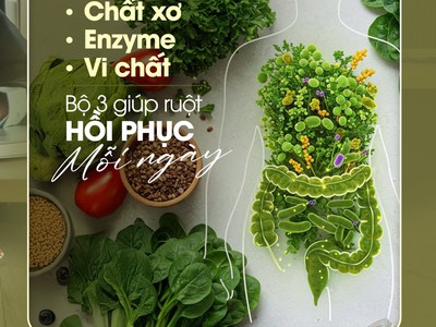 Sản phẩm tự nhiên, cho cuộc sống an yên - G.Organic 9