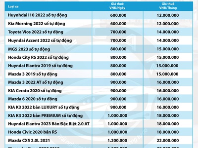 Cho thuê xe tự lái giá tốt tại TPHCM 0