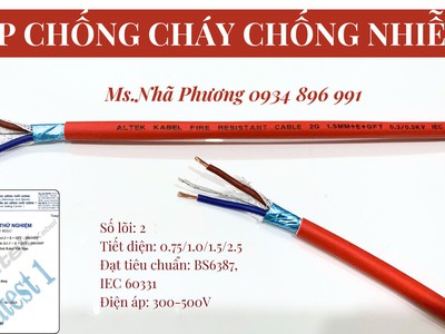 Cáp Chống Cháy Chống Nhiễu Tiêu Chuẩn Bs6387, Iec 60331 0