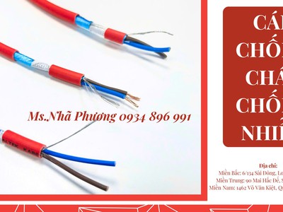 Cáp Chống Cháy Chống Nhiễu Tiêu Chuẩn Bs6387, Iec 60331 1