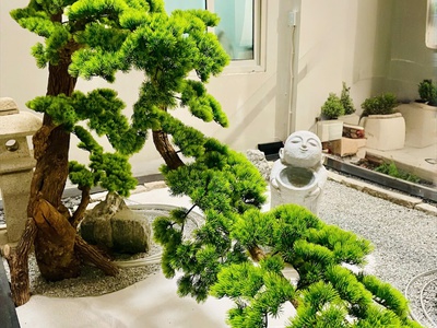 Cho thuê căn hộ full nội thất tại 24 Đông Quan, Cầu Giấy - Có thang máy 0